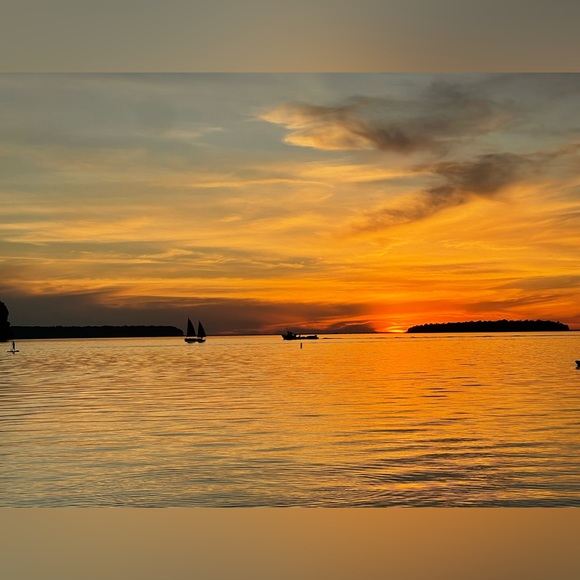 Meet your Posher, Katie - Picture 5 of 6